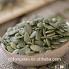 Wholesale Pumpkin Seeds, Pumpkin Kernels, Hulled Pumpkin Seeds Best Price