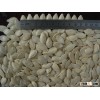 Shine Skin Pumpkin seeds