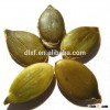 organic pumpkin kernel