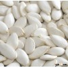 Top Grade Snow white pumpkin seeds 11mm - 13mm, Available