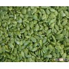AAA grade pumpkin seeds kernels