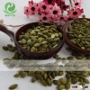 Chinese pumpkin seed kernels Shine Skin 2015crop top quality resonable price