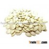 Shine Skin pumpkin seeds