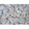 Sell Roasted-Salted Snow White Pumpkin Seeds