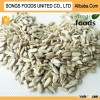 Best Selling Productous Sunflower Seeds Kernels