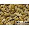 High Quality Organic Pumpkin Seed Extract Powder