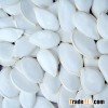 Snow White Pumpkin Seeds