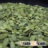 Raw Pumpkin Kernel