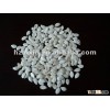 New crop Snow White Pumpkin seeds in shell size 12 cm