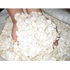 Snow White Pumpkin Seeds