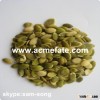 Bulk Packaging Pumpkin seeds Kernel Wholesale Grade A