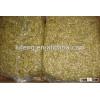 New Crop 2012 Chinese Green Pumpkin Seed kernel