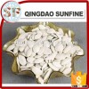 Chinese Pumpkin seeds snow white pumpkin seeds and shine skin pumpkin seeds and kernels