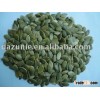 Shine Skin Pumpkin Seed Kernel