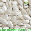 Chinese origin 2015 shine skin pumpkin seed kernel