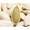 High Quality Kernels Pumpkin Seeds, Grade GWS Pumpkin Seeds Kernels for sale.