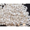 Good quality snow white pumpkin seed