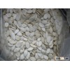 Snow white Pumpkin Seeds