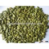 Shine skin pumpkin seeds kernel ,Pumpkin seeds kernel , AA grade , pumpkin seeds kernel price