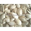 Pumkin Seeds | Watermelon Seeds | Chia Seeds | Sunflower Seeds