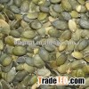 Supply Pumpkin seeds kernels with best price