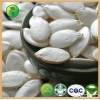 New Crop High Quality Snow White Pumpkin Seeds, Certified!