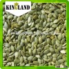 PUMPKIN SEEDS KERNEL FROM CHINA AA