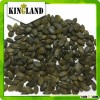 China no shell gws pumpkin seeds dark green color