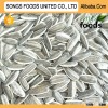 Chinese High Quality Roasted Sunflower Seed