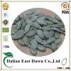 Agriculture Different Types of Pumpkin Seeds Kernel& Pumpkin Seeds GWS /Dark Green Pumpkin Seeds