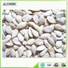 chinese snow white pumkin seeds