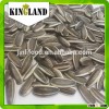 Black sunflower seeds for oil for eating from Chinese manufacturer