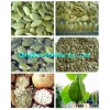 snow white /shine skin pumpkin seeds kernels, GWS, peanut, pine nut, dried goji berry, dried fruits,