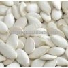 We are supply shine skin pumpkin seeds with high quality