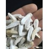 Hot salt roasted sunflower seeds to sell in China