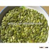 New Crop 2012 Green Pumpkin Seed