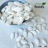 2015 chinese snow white pumpkin seed supplier pumplin seed supplier in China