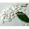 2014 Crop Dry Edible Snow White Pumpkin Seeds In Shell