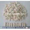 online sale Chinese sunflower seeds with different specification