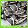 China Natural black Hulled 5009 Sunflower Seed NEW PRICE ( crop 2015)