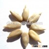 organic sunflower kernel