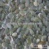 New Crop 2012 Chinese GWS Pumpkin Seed