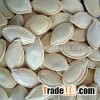 Pumpkin seeds and kernels/ Supply Shine Skin Pumpkin seed for sale