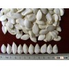 Supplying Different Sizes Snow white pumpkin seeds Kernels for Sales