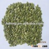 New Crop Chinese Pumpkin Seed Kernel