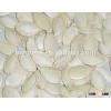 China shine skin pumpkin seeds with best price for sale
