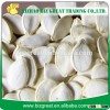 13MM Raw Snow White Pumpkin Seeds
