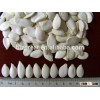 Supplying Chinese New Crop Snow white pumpkin seeds Kernels for Sales
