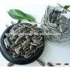 Export of Agriculture Products from China Sunflower Seeds Factory