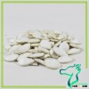 Agricultural Products Snow White Pumpkin Seeds In Shell